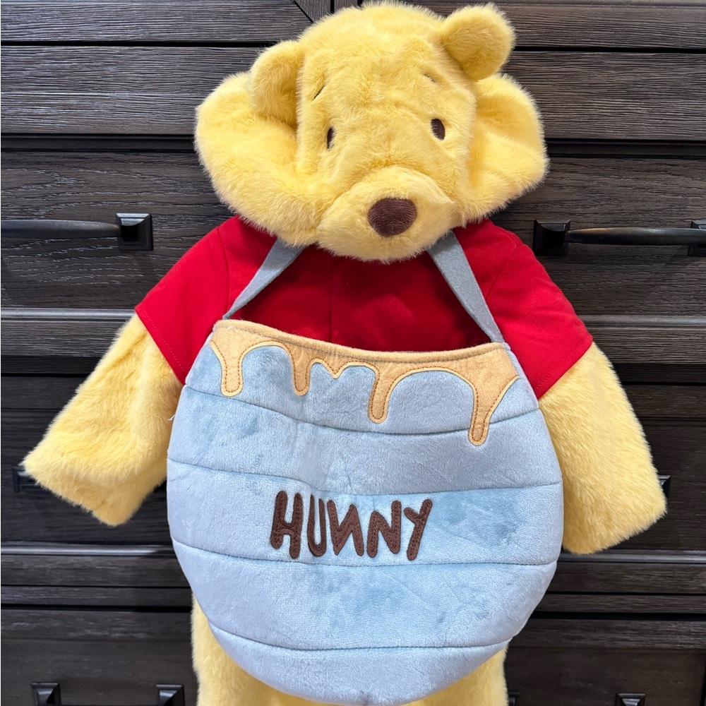 POTTERY BARN KIDS WINNIE THE POOH COSTUME AND HUNNY BAG (6-12MONTHS)